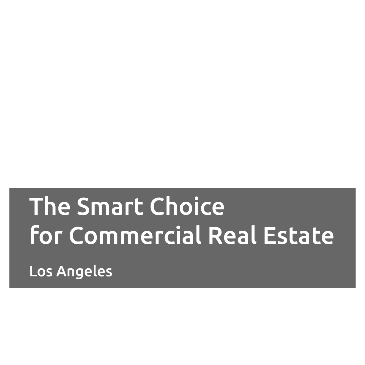RAAM | Realty Advisors and Asset Managers, Inc. - Los Angeles